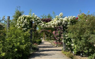 Kurztrip nach Sangerhausen