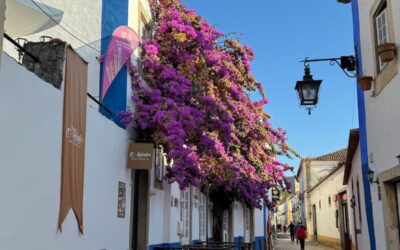 Portugal im Laufschritt
